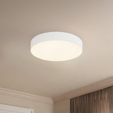 Rynn Flush Mount — Flush Mount