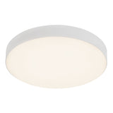 Rynn Flush Mount — Flush Mount