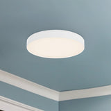 Rynn Flush Mount — Flush Mount