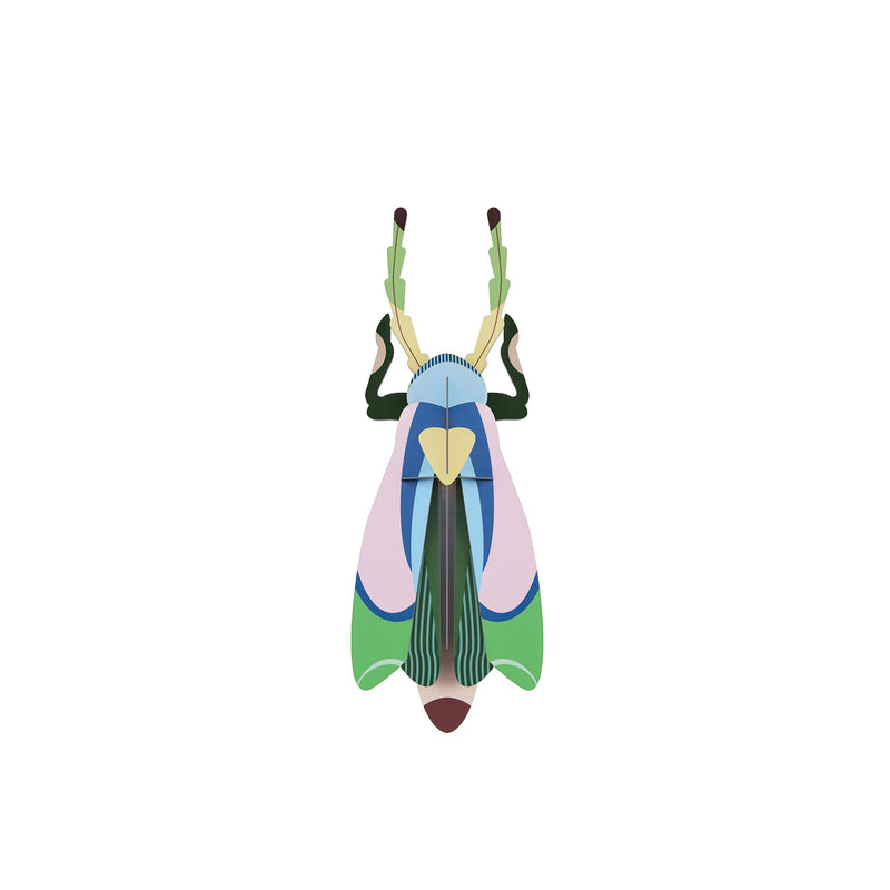 Sakura Beetle Wall Art