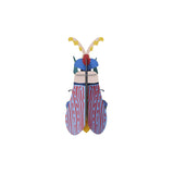 Striped Wing Beetle Wall Art