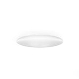 Saba Wall/Ceiling Light