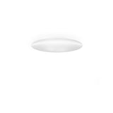 Saba Wall/Ceiling Light