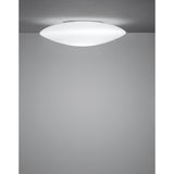 Saba Wall/Ceiling Light
