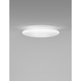 Saba Wall/Ceiling Light