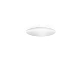 Saba Wall/Ceiling Light