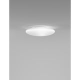 Saba Wall/Ceiling Light