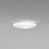 Saba Wall/Ceiling Light