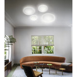 Saba Wall/Ceiling Light