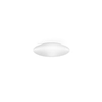 Saba Wall/Ceiling Light
