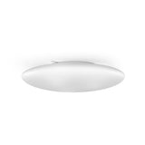 Saba Wall/Ceiling Light