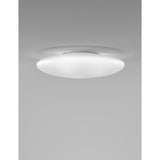 Saba Wall/Ceiling Light