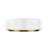 Salvo Ceiling Mount 4CCT
