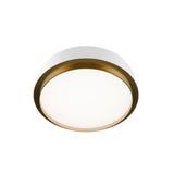 Salvo Ceiling Mount 4CCT