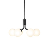 Satin Black/Opal Apiales 6 Pendant Light by Nuura