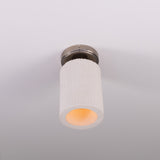 Senna Ceiling Light