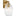 Serafina Wall Sconce — Striped Clear, Burnished Brass | Burnished Brass
