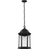 Sevier Outdoor Pendant — Black with Clear Glass