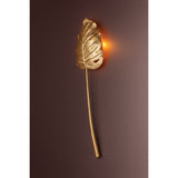Seychelles Wall Sconce by Corbett