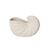Shell Pot - Small