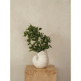 Shell Vase lifestyle view 1