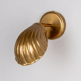 Shell Wall Light