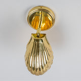 Shell Wall Light - Polished Brass