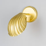 Shell Wall Light - Satin Brass