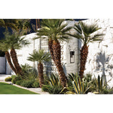 Shelter Wall Mount Lantern (Wide)