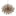 Sierra Chandelier - 6-Light by Troy Lighting