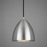 Skyler Pendant Satin Chrome