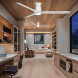 Smooth Flush Fan
