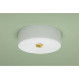Sophie Flush Mount lifestyle