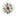 Sparta Chandelier - 32 Inch, 12-Light - Aged Brass with Black & Clear Shards by Hudson Valley