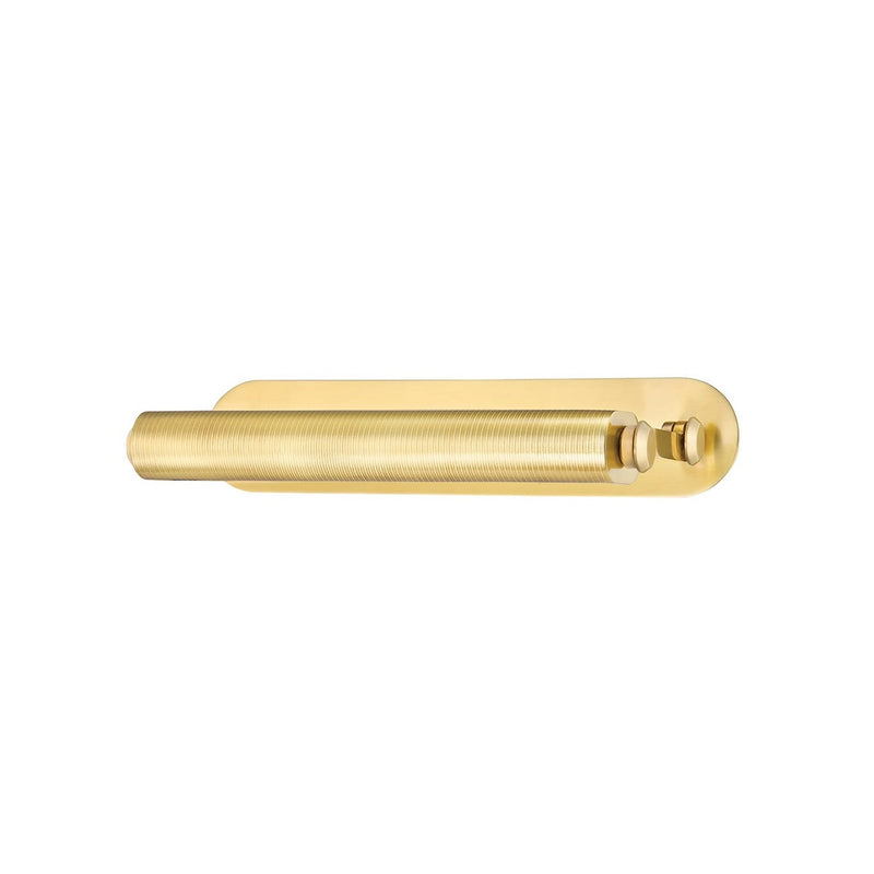 Stockport Picture Light - 17 Inch - Aged Brass by Hudson Valley