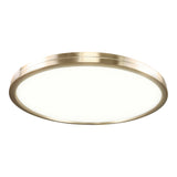 Stratos Ceiling Mount 16 Inch Champagne Gold