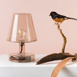 Transloetje Table Lamp - Brown, styled with a bird ornament