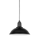 Tahoe Pendant by Troy Lighting