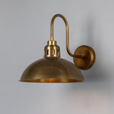 Talise Swan Neck Wall Light - Antique Brass
