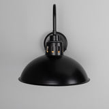 Talise Swan Neck Wall Light - Matt Black