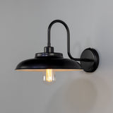 Telal Swan Neck Wall Light