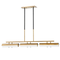 Titus Linear Suspension by Troy Lighting
