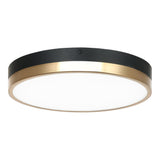 Tone Ceiling Mount 12 Inch Black & Aged Gold Brass