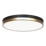 Tone Ceiling Mount 16 Inch Black & Aged Gold Brass