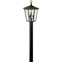 Trellis Medium Post Mount Lantern - Regency Bronze - by Hinkley