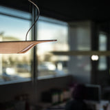 Troag Pendant by Foscarini - Lifestyle View 12