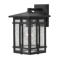 Tucker Wall Mount Lantern - Museum Black - by Hinkley