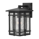 Tucker Wall Mount Lantern - Museum Black - by Hinkley