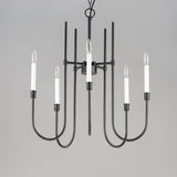 Tux Chandelier by Maxim Lighting