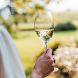 Ultralight Sparkling Wine Glass by Zafferano, lifestyle view 2